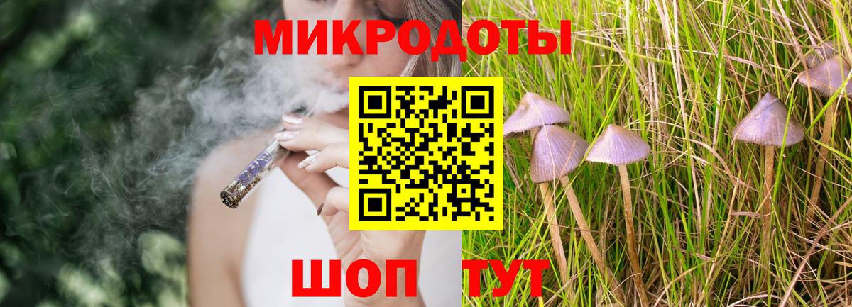 Кондопога  Галлюциногенные грибы MAGIC MUSHROOMS  Вход с VPN  Галлюциногенные грибы ЛСД 